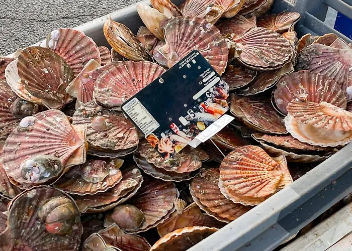 La Maison Gavraise *